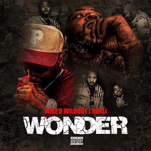 Wonder (Explicit)