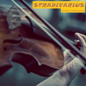 Stradivarius