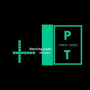 Dancing Calls (Original Mix)