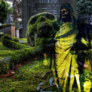 Grass Grows (feat. Bollywood beed) (Explicit)