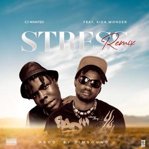 Stress (feat. Kida Wonder) [Remix] [Explicit]