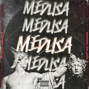 MEDUSA (Explicit)