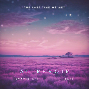 au revoir (the last time we met)