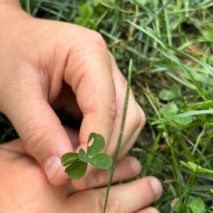 Rise from the Shadows