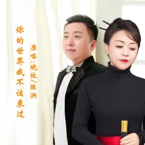 你的世界我不该来过DJ (对唱版)