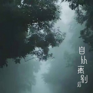 自从离别后 (男声版)