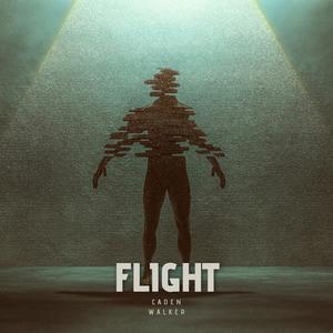 Flight