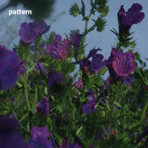 pattern (Explicit)