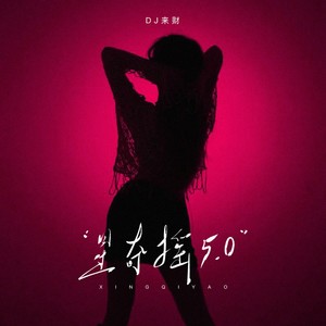 星奇摇5.0 (DJ版)