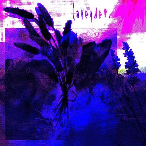 my little mess. (feat. Chaunes)