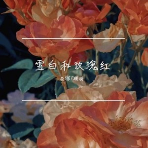 雪白和玫瑰红