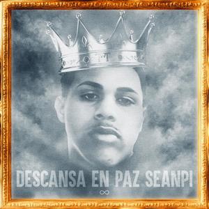 RIP SEANPI (MENOR)