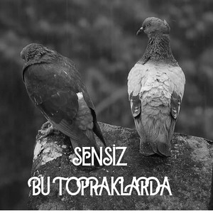 Sensiz Bu Topraklarda