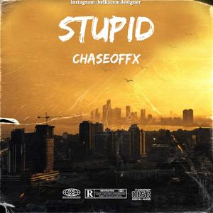 Stupid (Explicit)