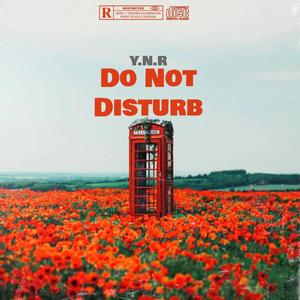 Do Not Disturb (feat. ynr tom)