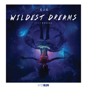 Wildest Dreams (Radio Edit)