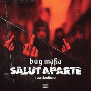 Salut Aparte (feat. SanBaro) (Explicit)