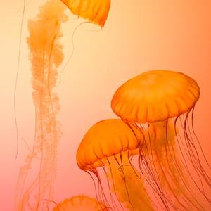 Cause Girls Is Players Too (Sped) (Explicit)