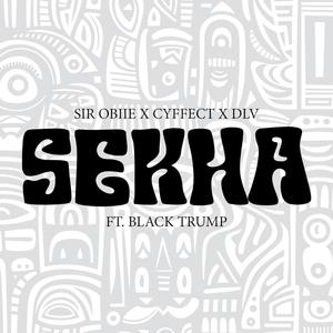 Sekha (feat. Cyffect, DLV. & Black Trump)