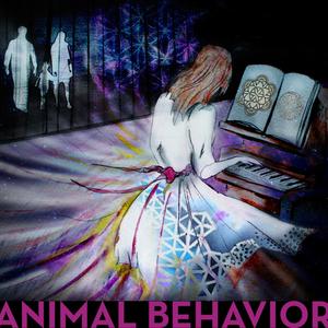 Animal Behavior