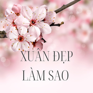 Xuân Đẹp Làm Sao