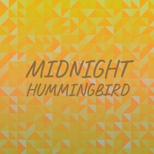 Midnight Hummingbird