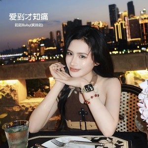 爱到才知痛封面