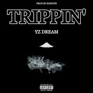 TRIPPIN (Explicit)