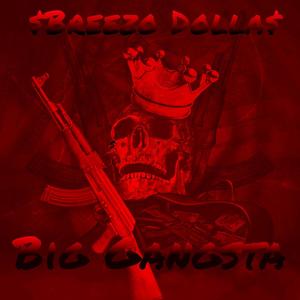 BIG GANGSTA (Explicit)