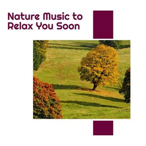 Nature Music to Relax You Soon