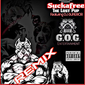 The Lost Pup (feat. Dj Superior) (Remix|Explicit)
