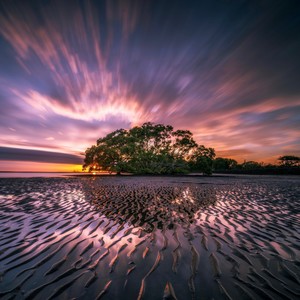 Healing Inner Conflicts