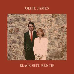 Inside A Vineyard In Lancashire