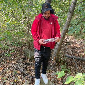 Hidden messeages (Explicit)