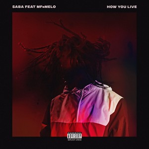 How You Live (feat. MfnMelo) [Explicit]