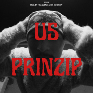 Us Prinzip