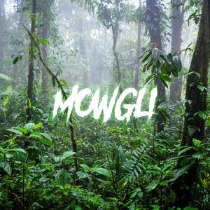 MOWGLI (Explicit)