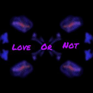 Love or Not