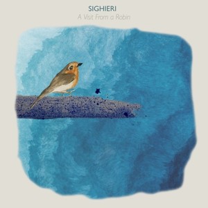 A Visit from a Robin