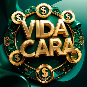 Vida Cara