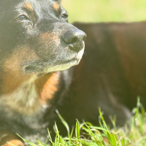 more YOU! (Explicit)