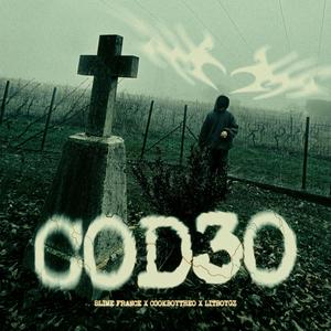 COD30 (feat. Cookboytheo & Litboygz) [Explicit]