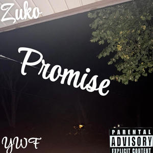 Promise