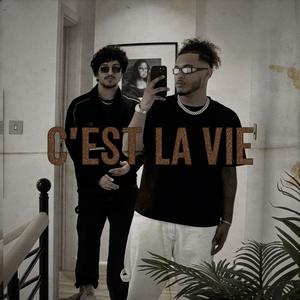 c'est la vie (feat. DWave) (Explicit)