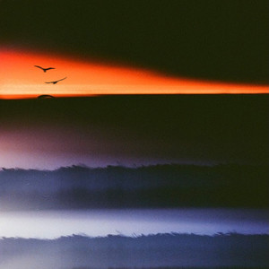 Bird of Paradise (Explicit)