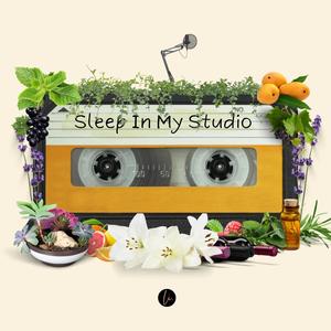 Sleep In My Studio
