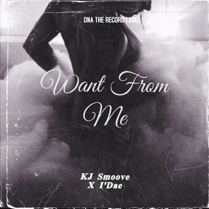 Want From Me (Explicit)