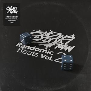 Randomic Beats, Vol. 2