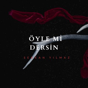 Öyle mi̇ dersi̇n