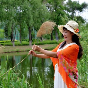 兰草情怀